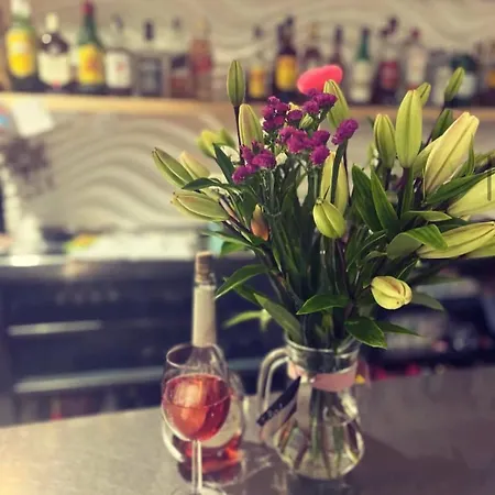 Colibri בית הארחה