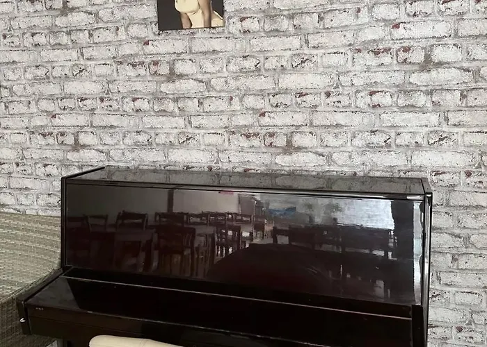 Colibri 2* 卡里拉