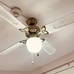 게스트하우스 Colibri