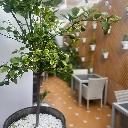 Colibri Pensionat 2*