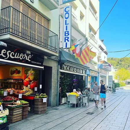 بيت ضيافة Colibri