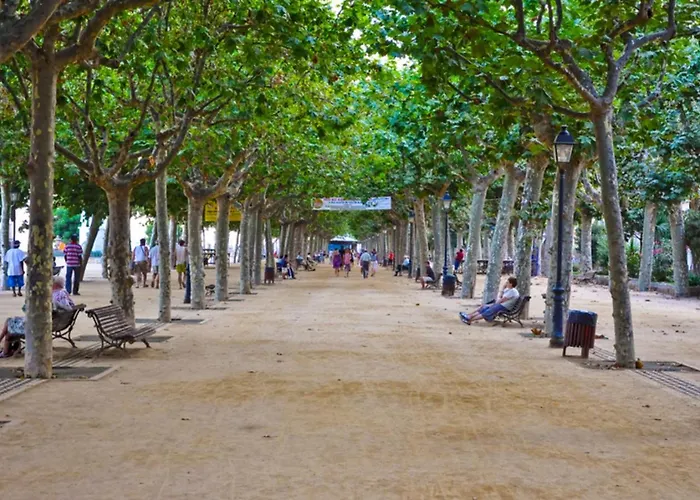 Colibri ゲストハウス