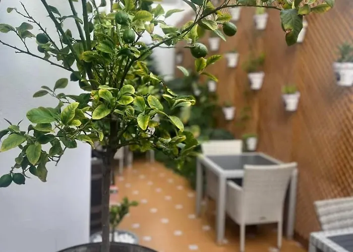 Colibri ゲストハウス 2*